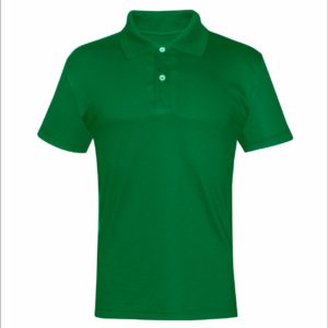 Camisa Polo Verde Bandeira